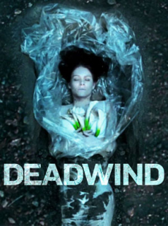 Deadwind Saison 3 en streaming français