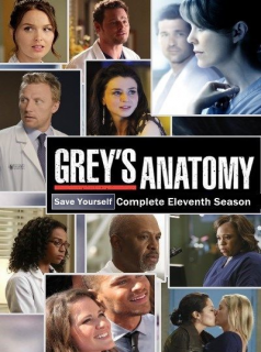 Grey's Anatomy 2023 Saison 11 en streaming français