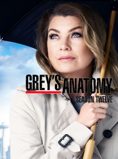 Grey's Anatomy 2023 saison 12
