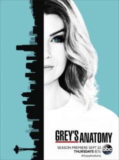 Grey's Anatomy 2023 saison 13