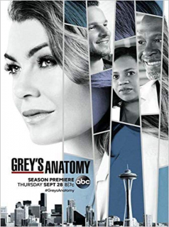 Grey's Anatomy 2023 Saison 14 en streaming français