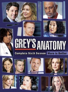 Grey's Anatomy 2023 saison 6