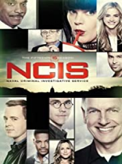 NCIS : Enquêtes spéciales saison 15
