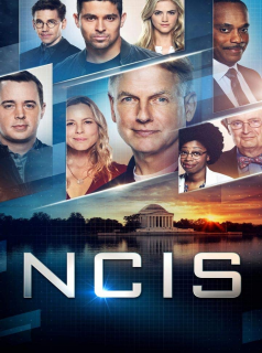 NCIS : Enquêtes spéciales saison 17
