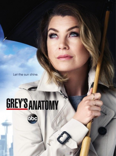 Grey's Anatomy 2023 saison 16