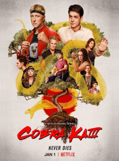Cobra Kai Saison 3 en streaming français