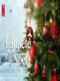Tempête de Noël Saison 1 en streaming français