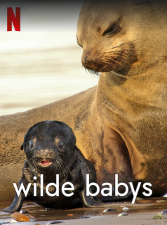 Wild Babies : Petits et Sauvages streaming