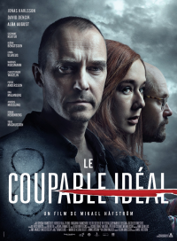 Le Coupable idéal streaming