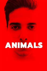 Animals streaming