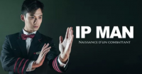Ip Man : Naissance d'un combattant streaming