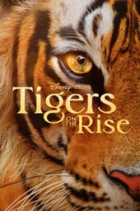 Tigers on the Rise streaming
